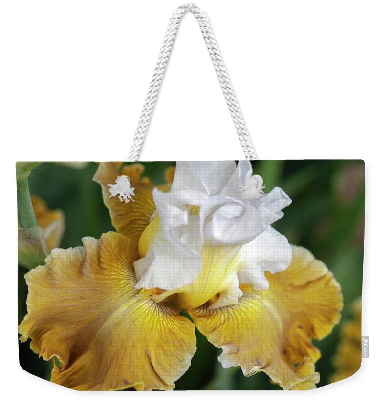 Jenny Rainbow Fine Art Photography Weekender Tote Bag featuring the photograph Beauty Of Irises. Going Green Closeup by Jenny Rainbow