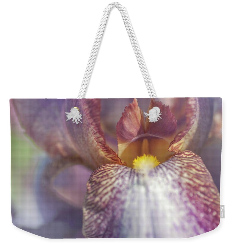 Jenny Rainbow Fine Art Photography Weekender Tote Bag featuring the photograph Beauty Of Irises. Madame Louis Aureau 1 by Jenny Rainbow