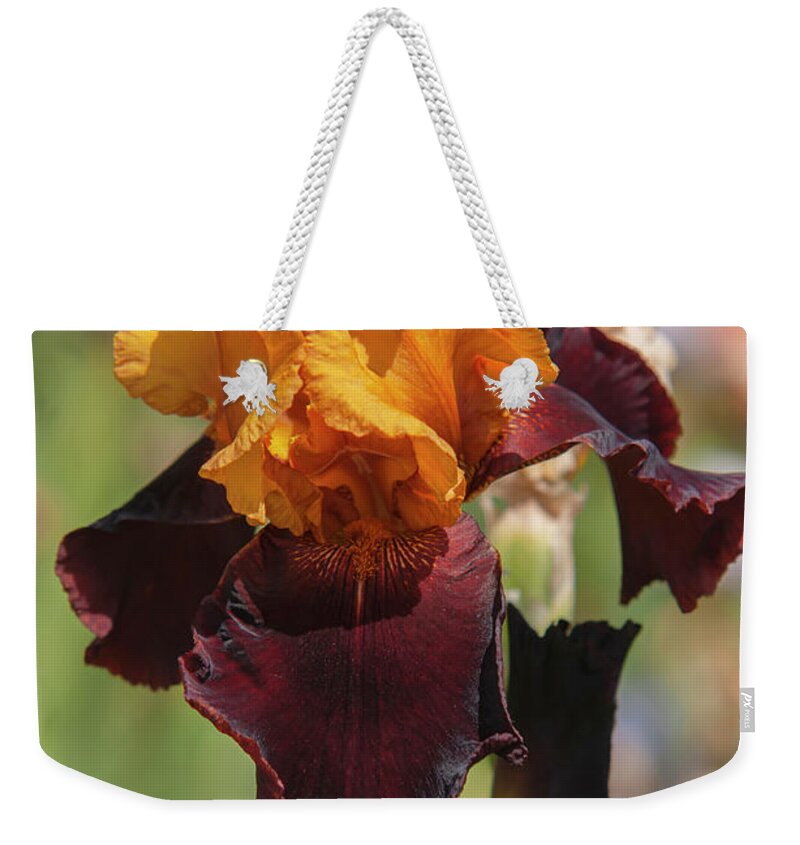 Jenny Rainbow Fine Art Photography Weekender Tote Bag featuring the photograph Beauty Of Irises. Supreme Sultan 7 by Jenny Rainbow