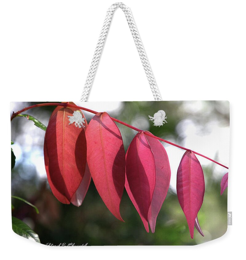 Nature Photography Weekender Tote Bag featuring the digital art Beauty of nature 161 by Kevin Chippindall
