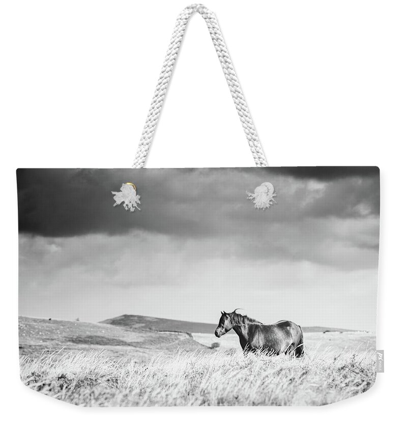 Photographs Weekender Tote Bag featuring the photograph Beauty of Solitude II - Horse Art by Lisa Saint