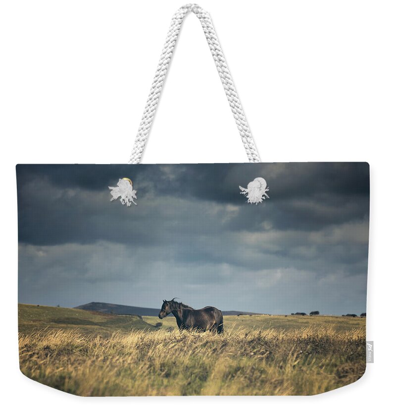 Photographs Weekender Tote Bag featuring the photograph Beauty of Solitude by Lisa Saint