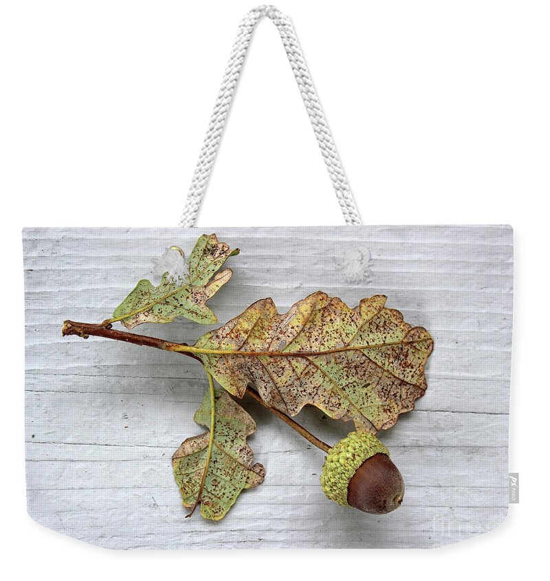 Oak Weekender Tote Bag featuring the photograph Beauty of the Fall by Karen Adams
