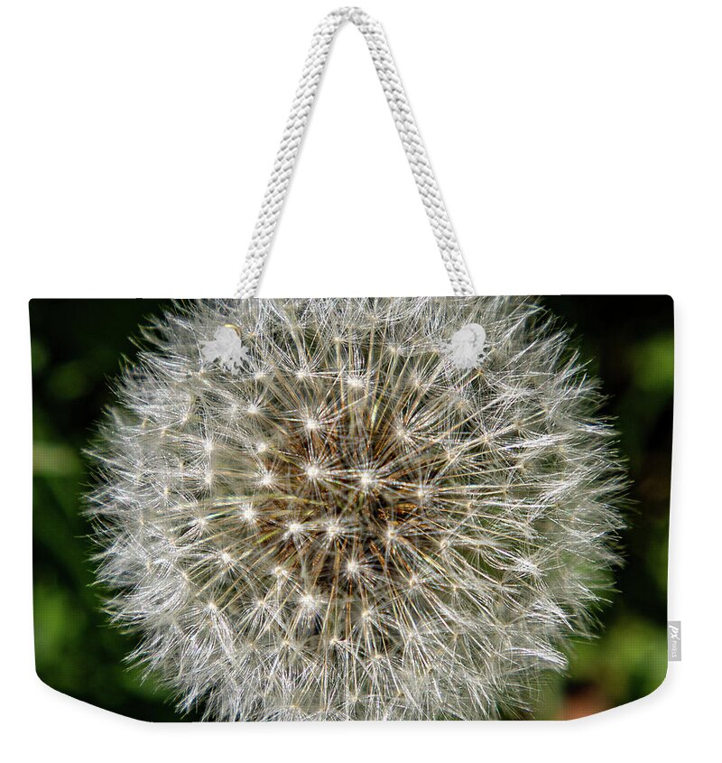 2020 Weekender Tote Bag featuring the photograph Transformation by Gerri Bigler