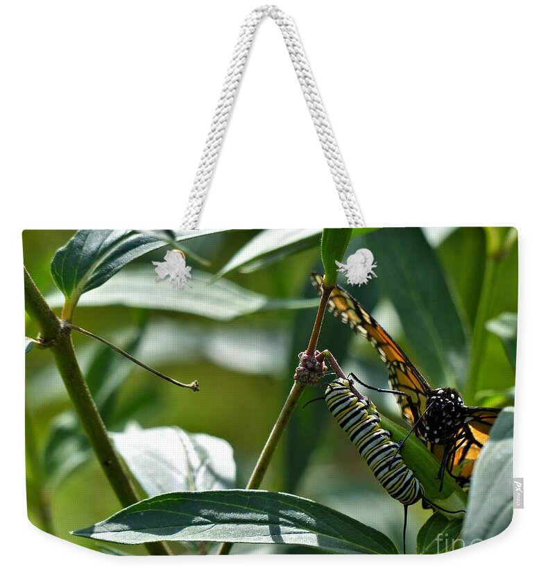 Butterfly Weekender Tote Bag featuring the photograph Becoming Like You by Rosanne Licciardi