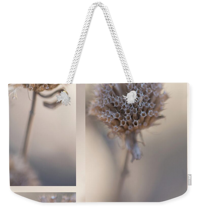 Taupe Weekender Tote Bag featuring the photograph Bee Balm by Karen Rispin