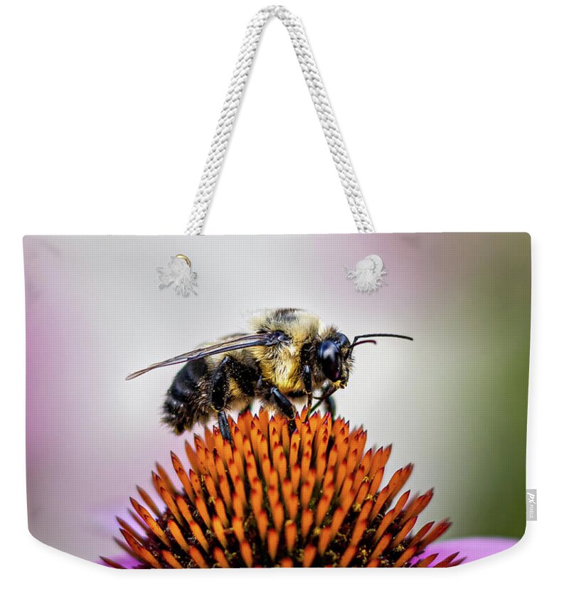 Bee Weekender Tote Bag featuring the photograph Bee claiming the flower by Rick Nelson