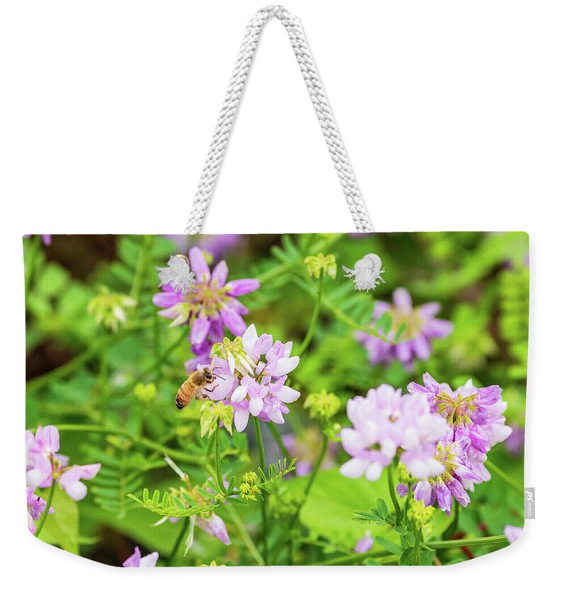 Flower Weekender Tote Bag featuring the photograph Bee in the Garden by Amelia Pearn