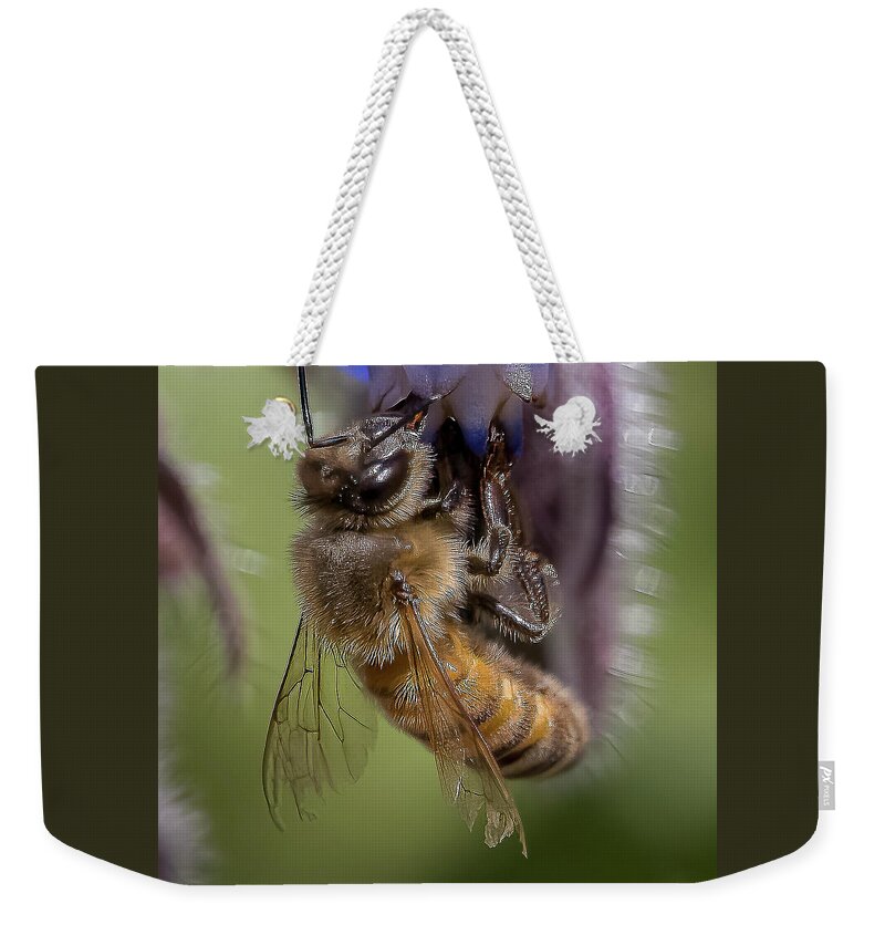 Honeybee Weekender Tote Bag featuring the photograph Bee on Starflower by Cheri Freeman