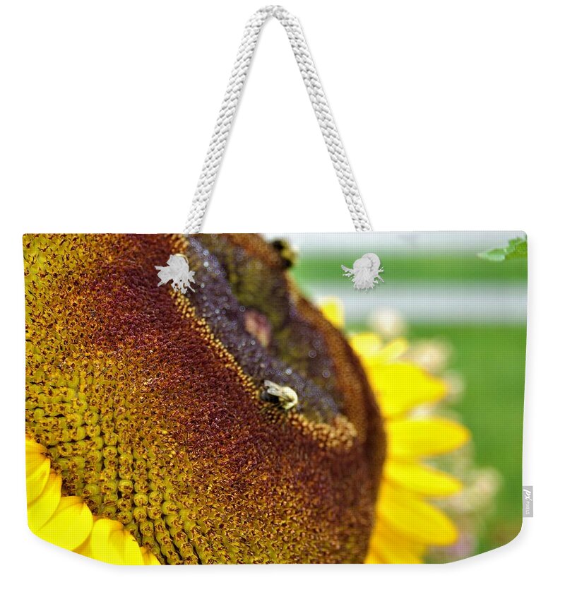Orange Weekender Tote Bag featuring the photograph Bee on Sunflower 3 by James Cousineau