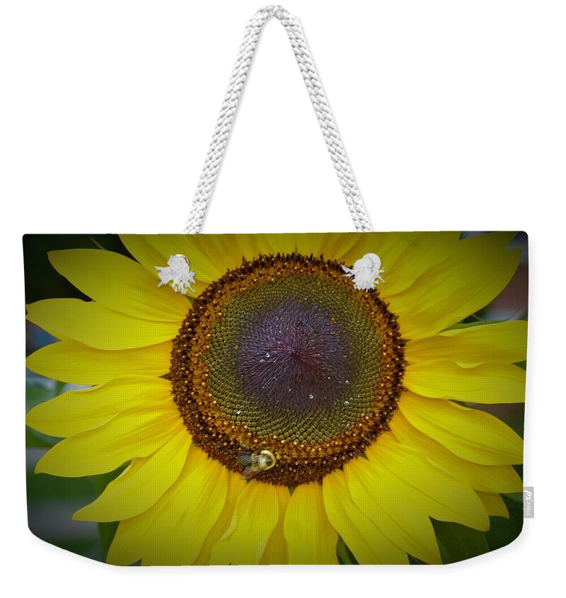 Orange Weekender Tote Bag featuring the photograph Bee on Sunflower 6 by James Cousineau