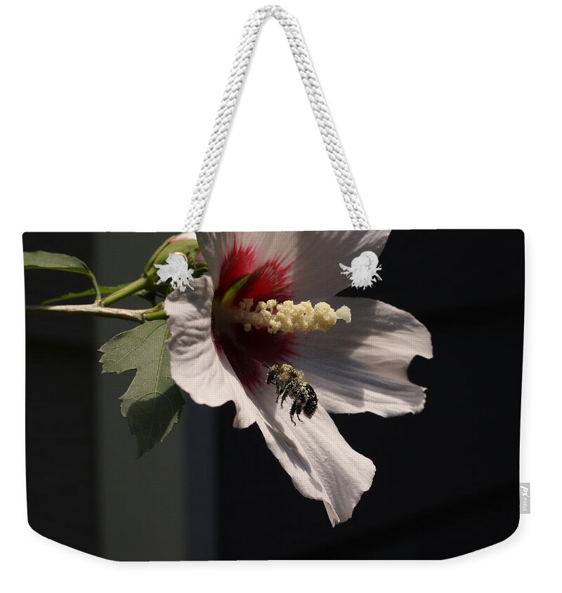 Nature Weekender Tote Bag featuring the digital art Bee pollen collector by Kathleen Illes