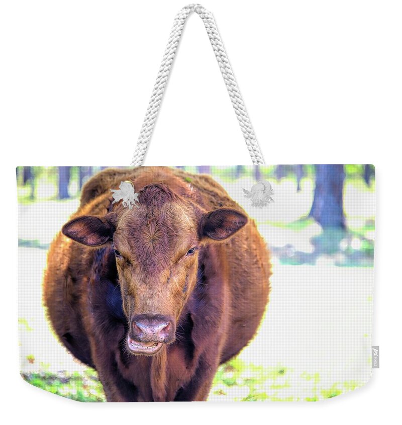Beef Weekender Tote Bag featuring the photograph Beef by Alison Belsan Horton