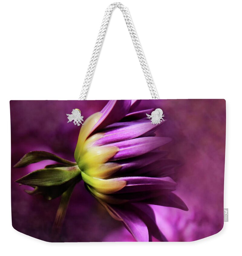 Flower Photography Weekender Tote Bag featuring the photograph Beginnings by Sally Bauer