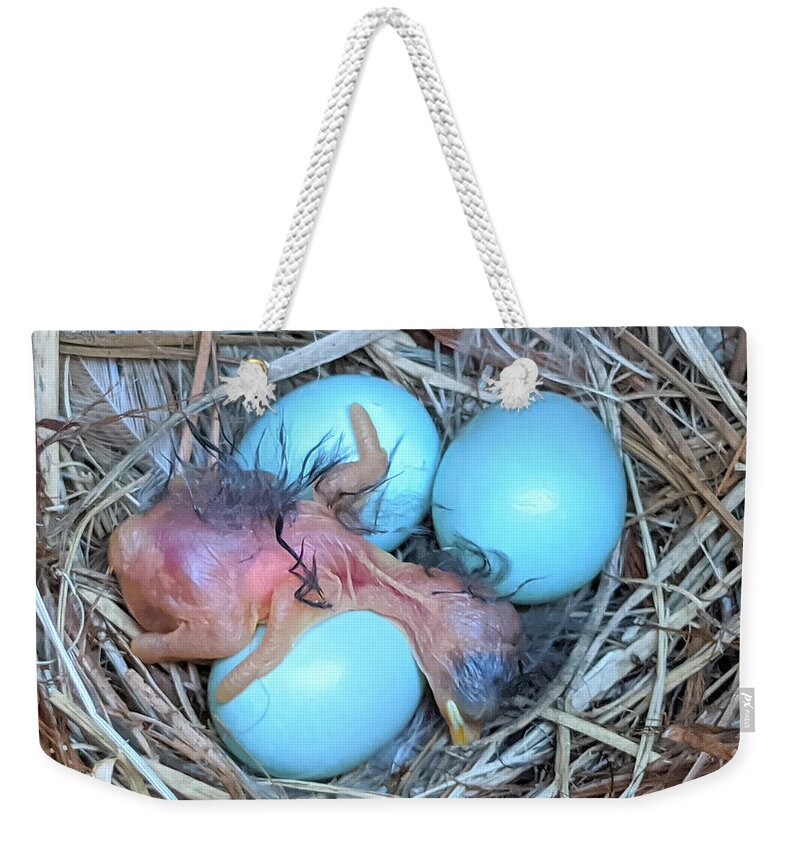 Bluebird Weekender Tote Bag featuring the photograph Being Born Is Exhausting by Jerry Griffin