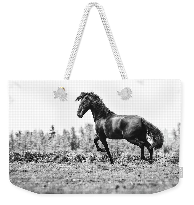 Photographs Weekender Tote Bag featuring the photograph Believe III - Horse Art by Lisa Saint