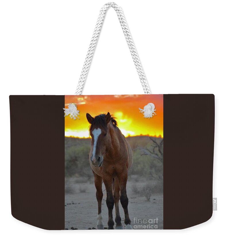 Salt River Wild Horses Weekender Tote Bag featuring the digital art Beloved by Tammy Keyes