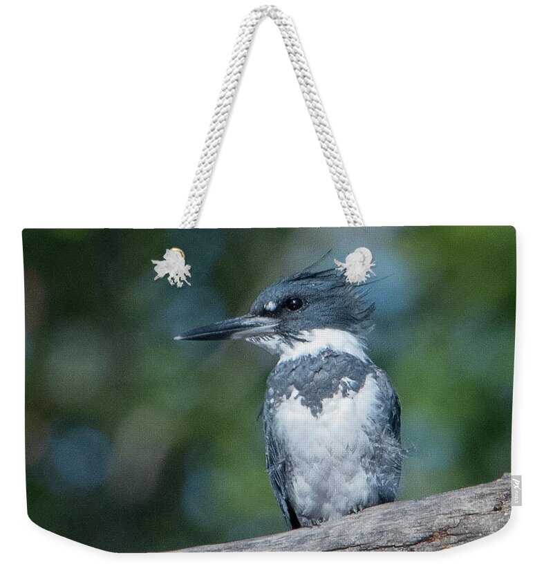 Nature Weekender Tote Bag featuring the photograph Belted Kingfisher DSB0380 by Gerry Gantt
