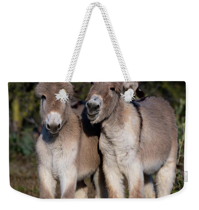 Wild Burros Weekender Tote Bag featuring the photograph Best friends by Mary Hone