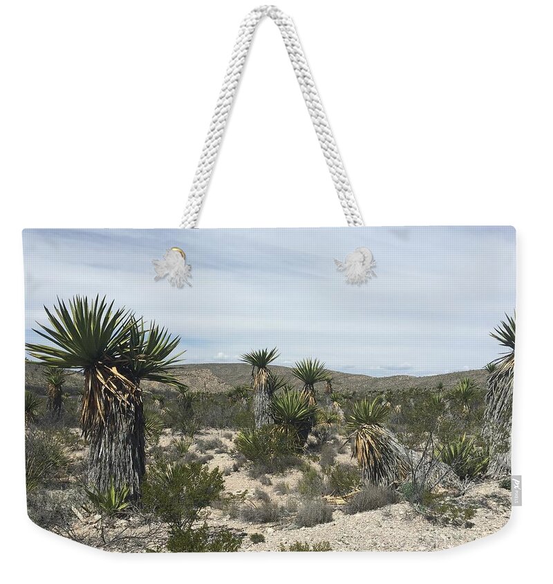 Big Bend National Park Weekender Tote Bag featuring the photograph Big Bend Desert by Jeff Hubbard