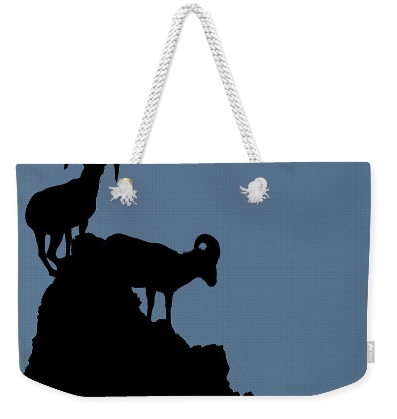 Big Horn Sheep Weekender Tote Bag featuring the photograph Big Horn Silhouette by Bob Falcone