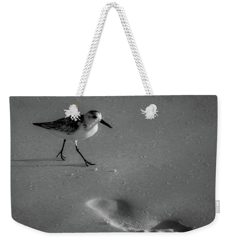 Bigshoestofill Weekender Tote Bag featuring the photograph Big Shoes to Fill by Vicky Edgerly