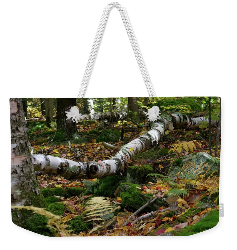 Woods Weekender Tote Bag featuring the photograph Birch Tree Down In the Catskills by Flinn Hackett