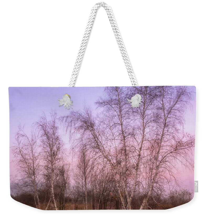 Birch Trees Weekender Tote Bag featuring the photograph Birch Trees in Pastel by Michael Hubley