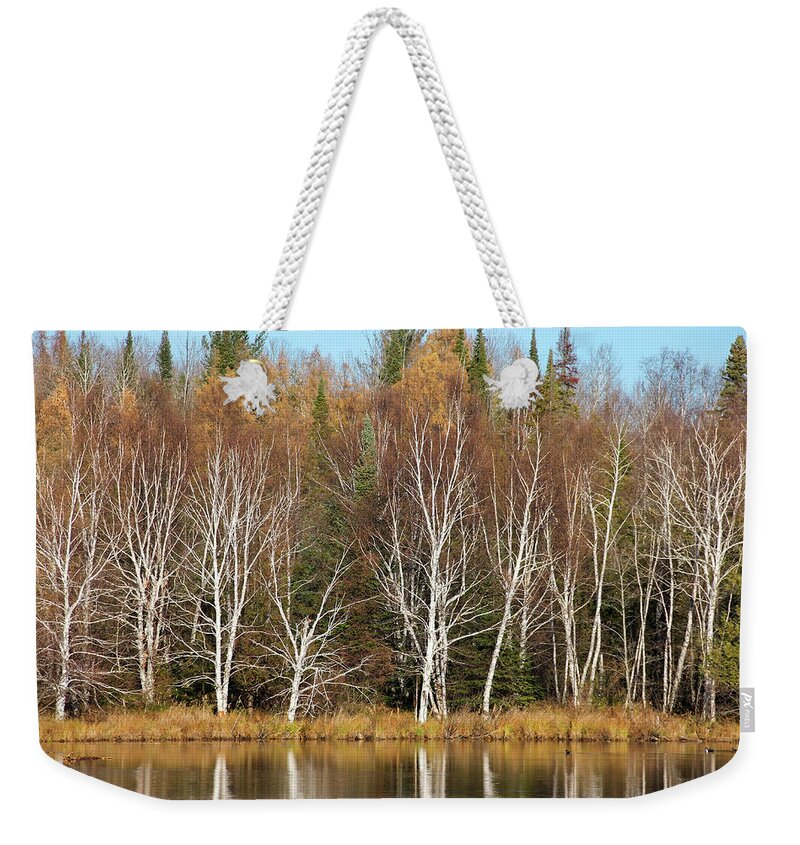 Walden Weekender Tote Bag featuring the photograph Birches on Walden Pond by Robert Carter