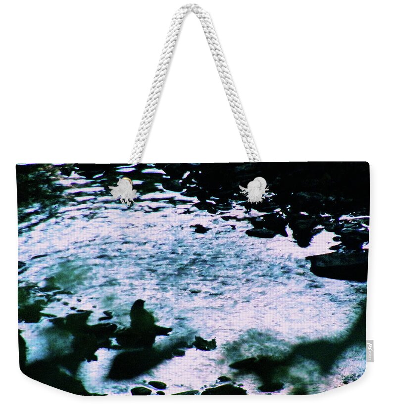 Bird Weekender Tote Bag featuring the photograph Bird Bathing at Twilight by Christopher Reed