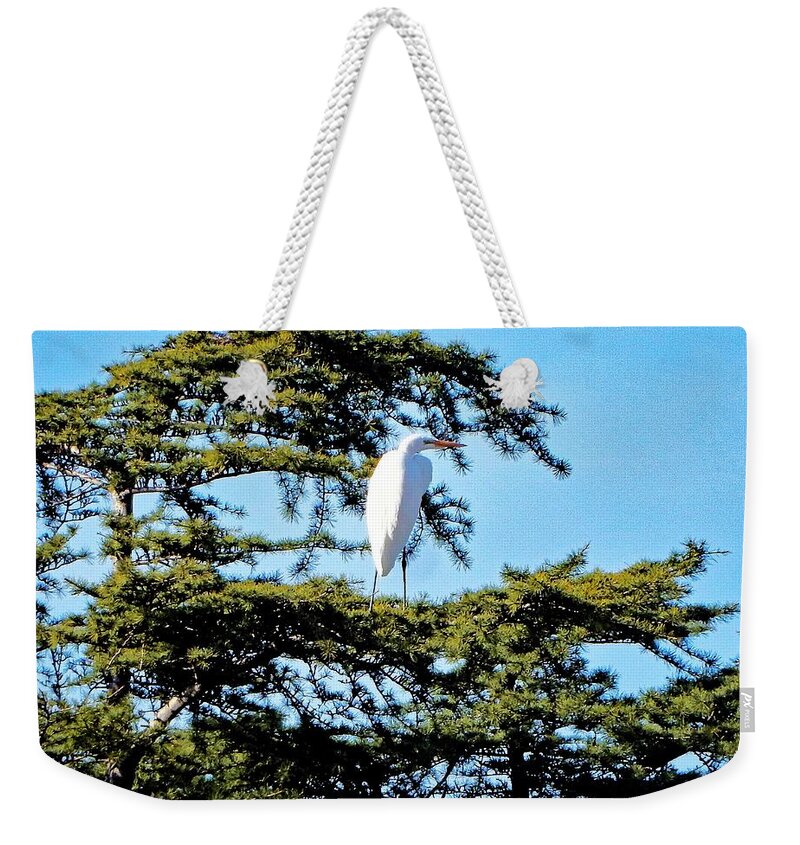 Bird Weekender Tote Bag featuring the photograph Bird High Right by Andrew Lawrence