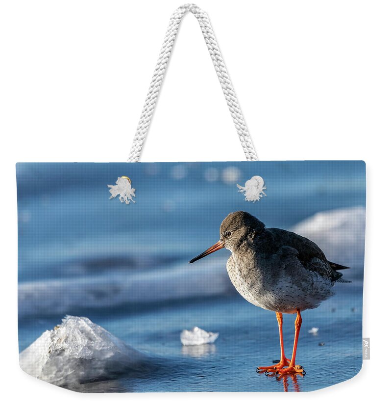 Bird Weekender Tote Bag featuring the photograph Bird in blue world by Mike Santis