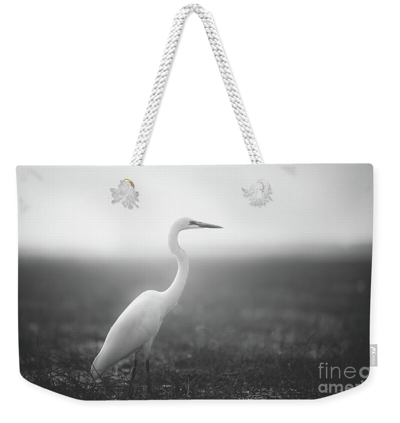 Birds Weekender Tote Bag featuring the photograph Bird in Dream by Dheeraj Mutha