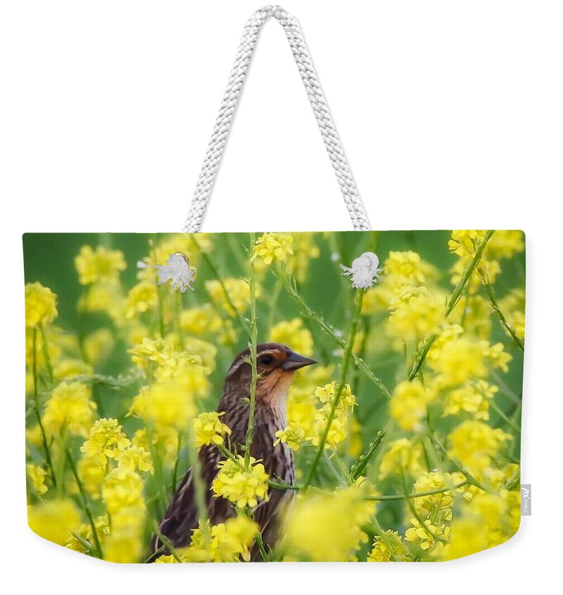 Redwingedblackbird Weekender Tote Bag featuring the photograph Bird in Yellow Flowers by Pam Rendall