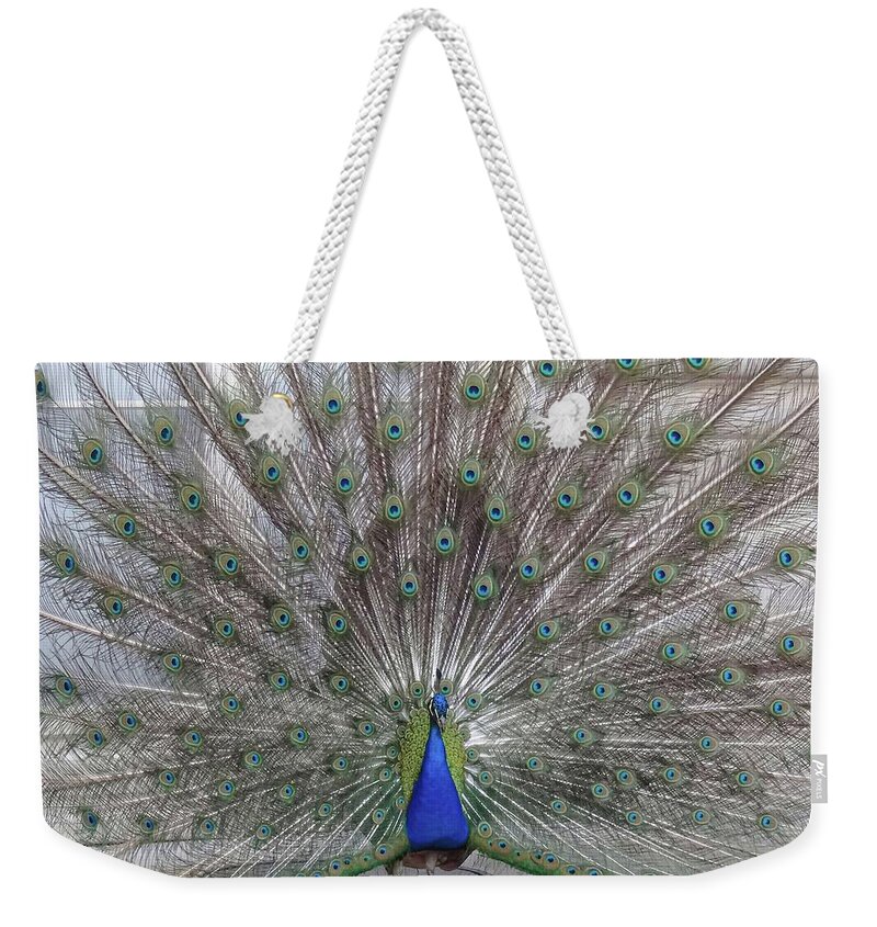 Bird Weekender Tote Bag featuring the photograph Bird Of Paradise by Andre Petrov