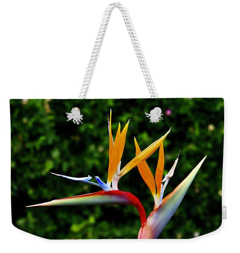 Flowers Weekender Tote Bag featuring the photograph Twin Birds by Max Greene