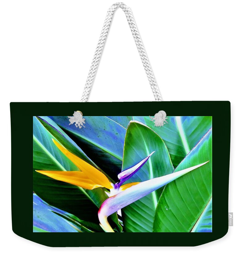 Flower Weekender Tote Bag featuring the photograph Bird of Paradise's Striking Beauty by Vivian Aaron
