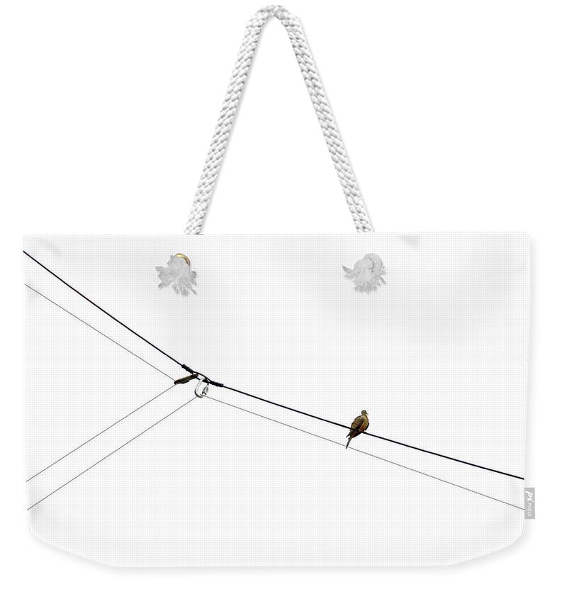 Bird Weekender Tote Bag featuring the photograph Bird on a Wire by Joe Bonita