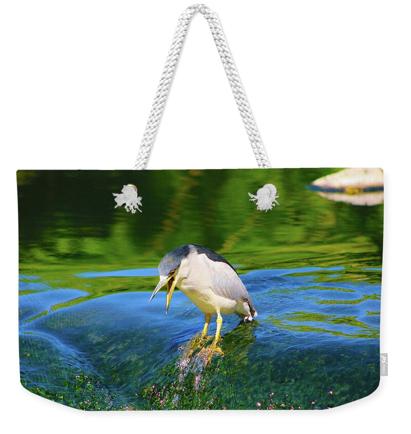 Wildlife Weekender Tote Bag featuring the photograph Bird On The Edge by Marcus Jones