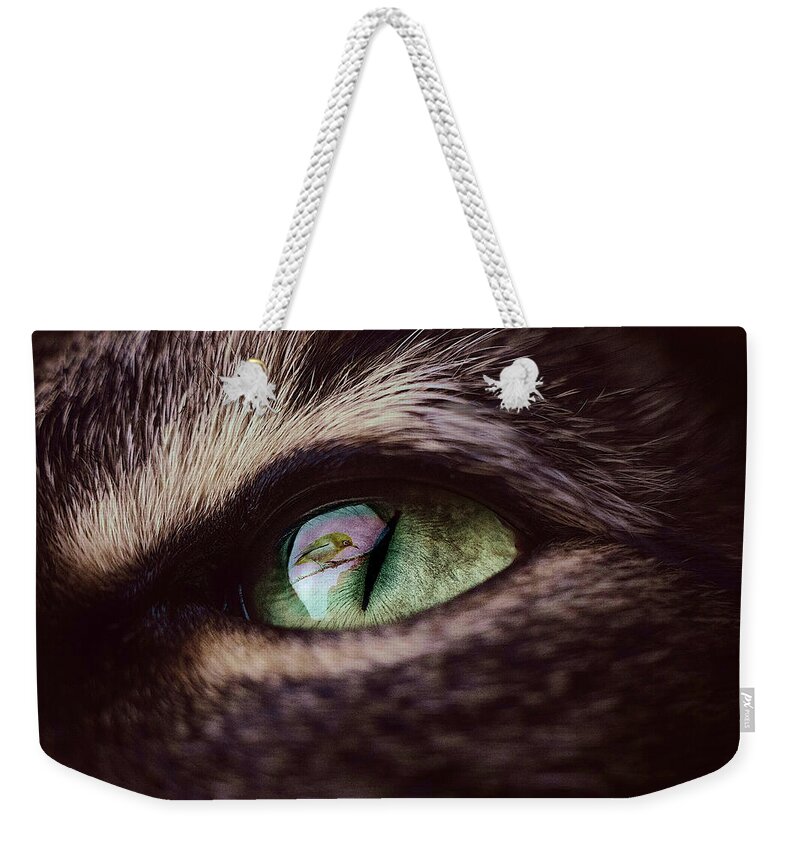 Reflection Weekender Tote Bag featuring the mixed media Bird Reflecting in a Cat's Eye by Shelli Fitzpatrick
