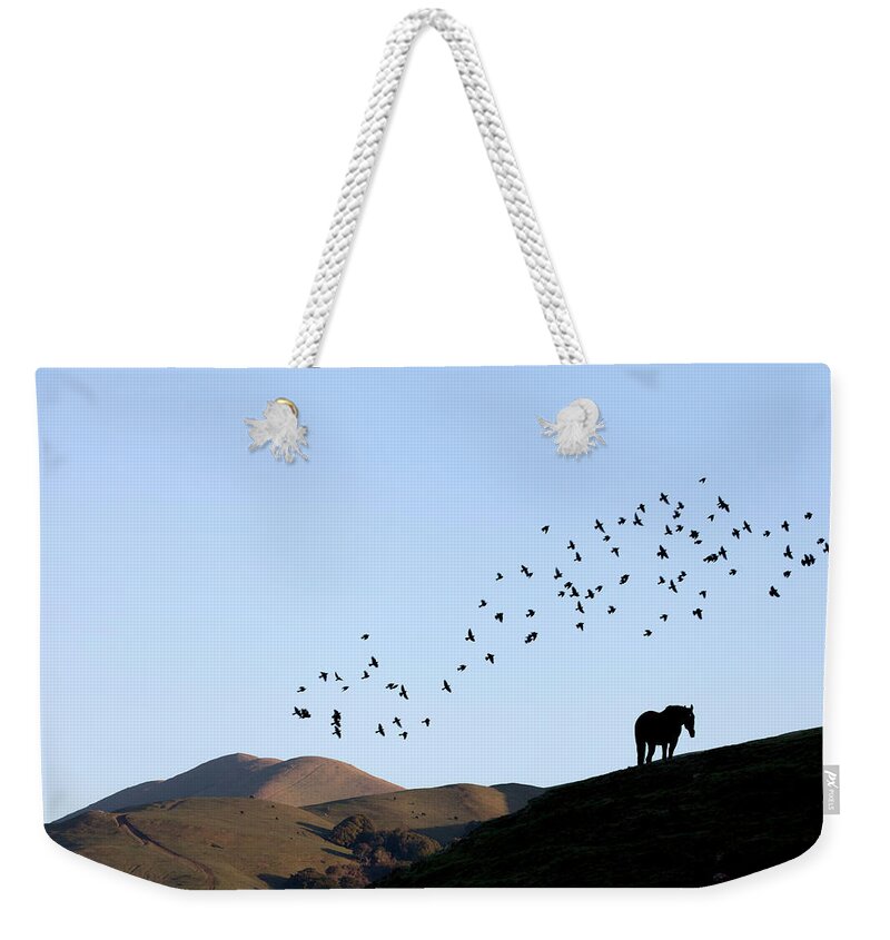 Birds Above Pasture Weekender Tote Bag featuring the photograph Birds above pasture by Donald Kinney