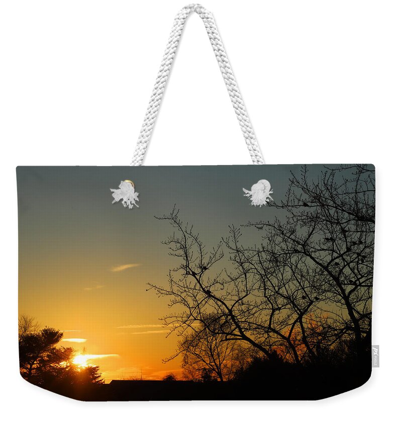 Golden Weekender Tote Bag featuring the photograph Birds at Sunrise January 24 2021 by Miriam A Kilmer