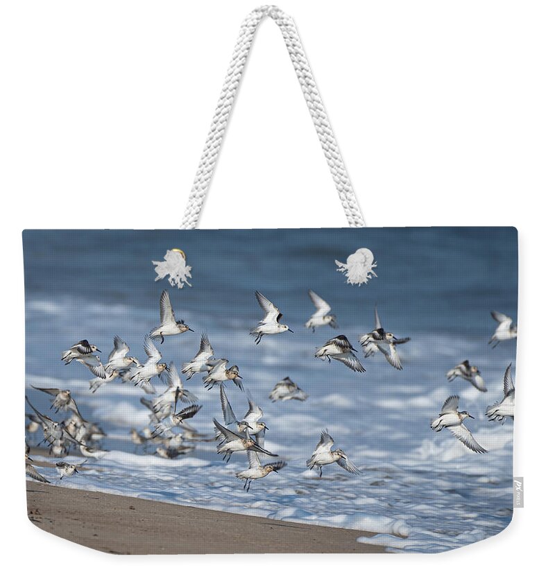 Birds Weekender Tote Bag featuring the photograph Birds of a Feather Almost by Linda Bonaccorsi