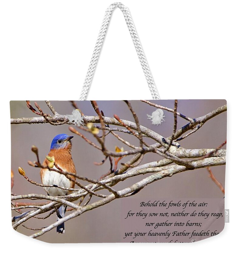 Bluebird Weekender Tote Bag featuring the photograph Birds of the Air by Yvonne M Smith