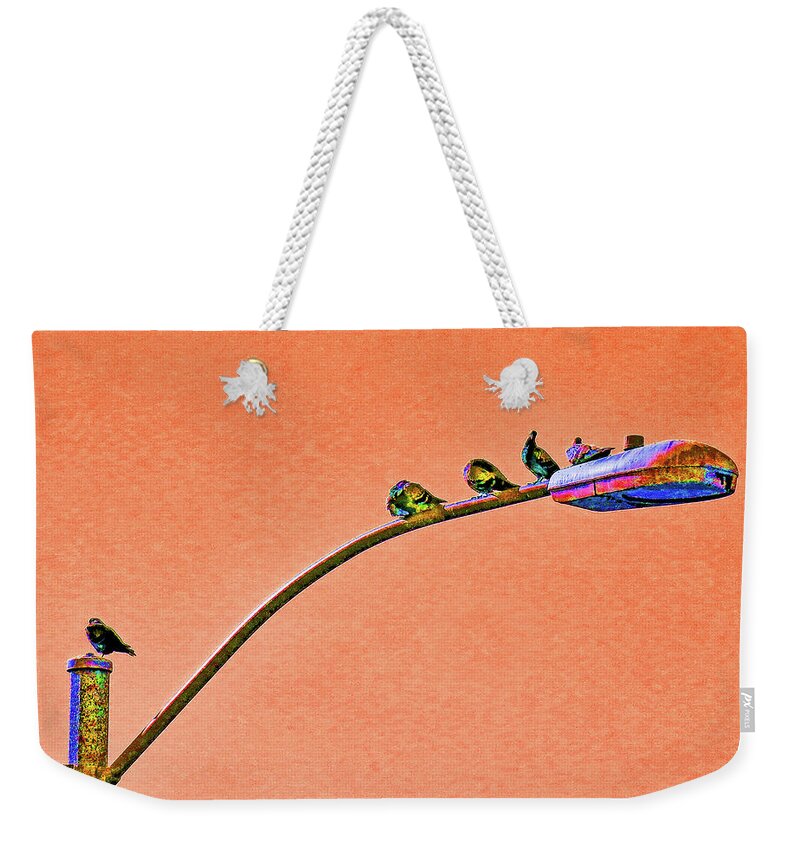 Birds Weekender Tote Bag featuring the photograph Birds on a Light Pole by Andrew Lawrence