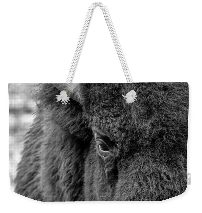 Bison Weekender Tote Bag featuring the photograph Bison by Holly Ross