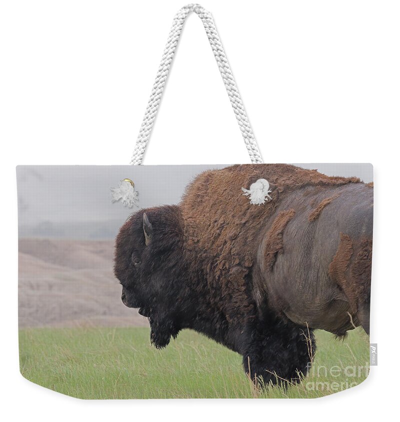 American Buffalo Weekender Tote Bag featuring the photograph Bison in the Rain by Natural Focal Point Photography