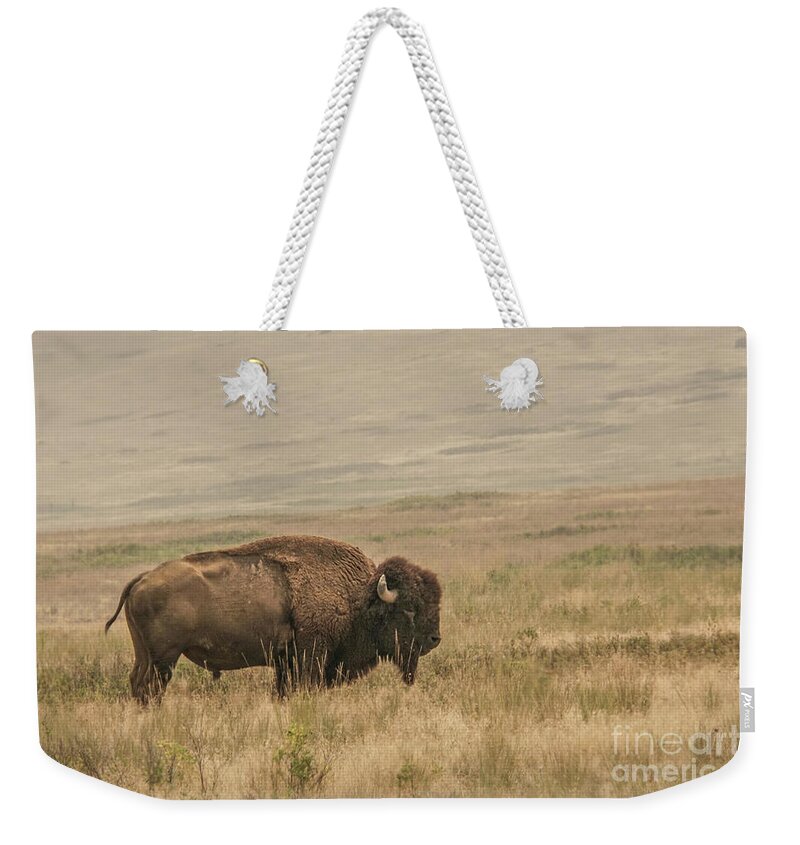 Bison Weekender Tote Bag featuring the photograph Bison Standing Alone by Nancy Gleason