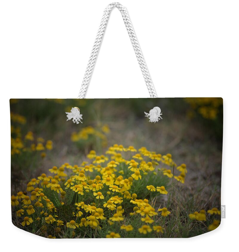 Daisy Weekender Tote Bag featuring the photograph Bitter Sneezeweed by DArcy Evans