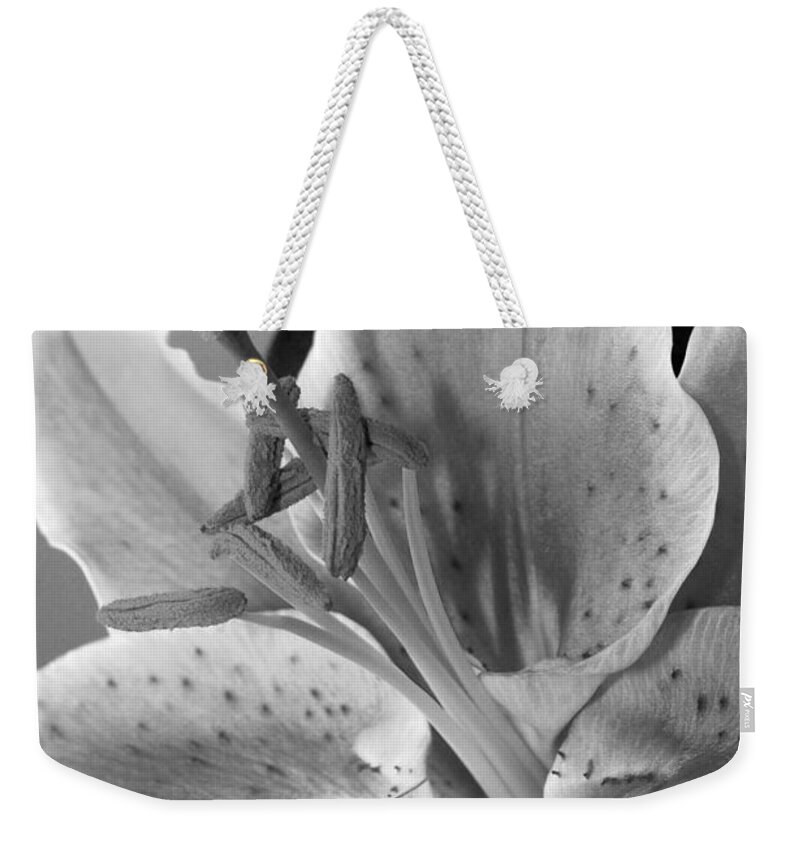 Lily Weekender Tote Bag featuring the photograph Black and White Lily 1 by Amy Fose